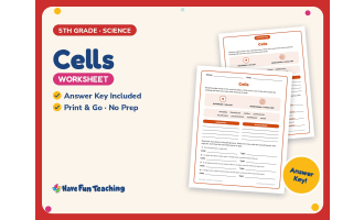Cells Worksheet – 5th Grade Animals & Classification Practice