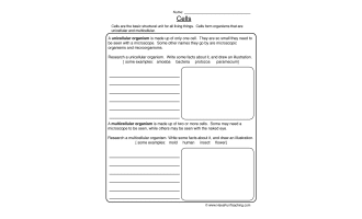 Cells Worksheet