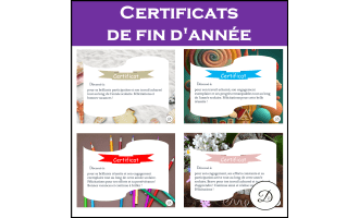 Certificats de fin d'année - Vol. 1