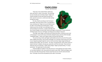 Charlie's Visitor - Reading Comprehension Worksheet