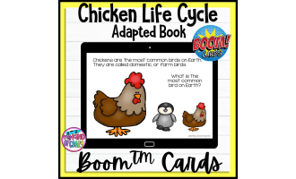 Chicken Life Cycle