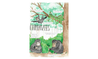 Chimpanzee Printable Poster