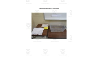 Chinese Achievements Experience