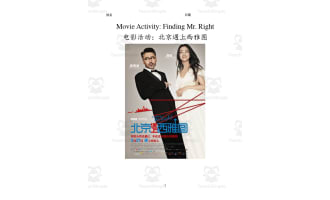 Chinese: Finding Mr. Right Movie Companion