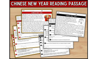 Chinese New Year Reading Comprehension Passage and Questions for 2-5th