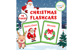 Christmas & Winter Vocabulary Flashcards.