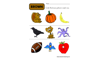 Circling Examples of Brown Worksheet