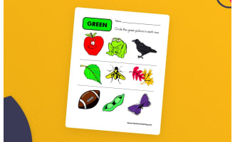 Circling Examples of Green Worksheet