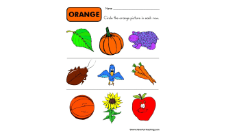 Circling Examples of Orange Worksheet