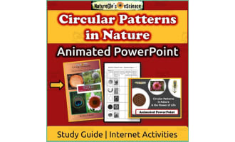 Circular Patterns in Nature PowerPoint with Study Guide