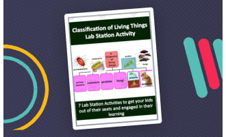 Classification of Living Things – Lab Station Activity