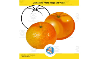 Clementine Photo Image and Vector
