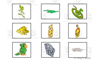 Cognitive Perceptual Boards | Jungle Animals Pack 3