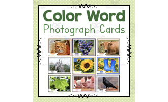 Color Word Photo Cards | Learning Colors | Preschool Worksheets
