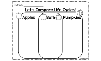 Comparing Seasons Venn Diagram Worksheet by Teach Simple