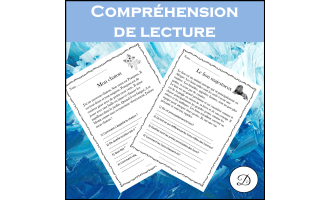 Compréhension de lecture - 20 textes - French Reading Comprehension