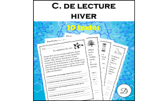 Compréhension de lecture - Hiver (10 textes)
