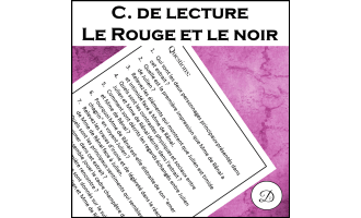 Compréhension de lecture - Le Rouge et le noir