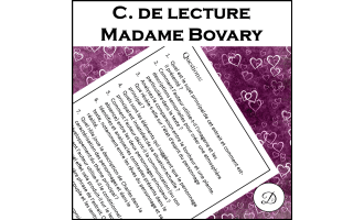 Compréhension de lecture - Madame Bovary