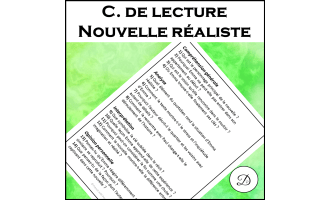 Compréhension de lecture - Nouvelle réaliste