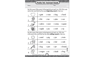 Grade 1 Language Arts Skills Practice Test
