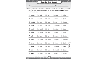 Comprehensive Language Arts Skills Practice Test For Grade 2