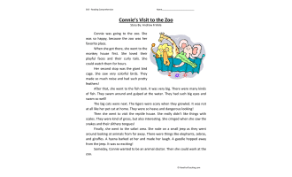 Connie's Zoo Visit - Reading Comprehension Worksheet