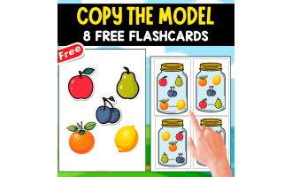 COPY THE MODEL | 8 FLASHCARDS | BRAIN GAME