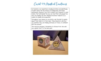 Covid-19 Masked Emotions Activity