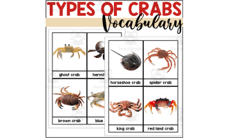 Crab Vocabulary Words - Types of Crabs
