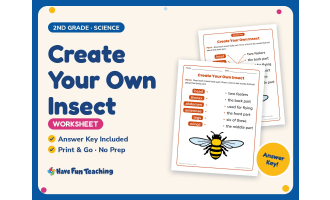 Create Your Own Insect Worksheet – 2nd Grade Animals & Insects