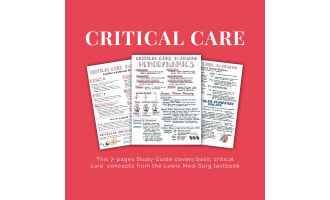 Critical Care Nursing Basics