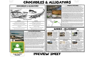 Crocodiles and Alligators Mini Unit