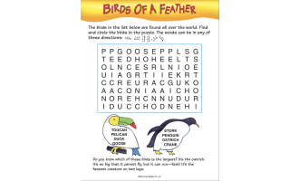 Curious Critters Word Search: Volume 3 Activity Book