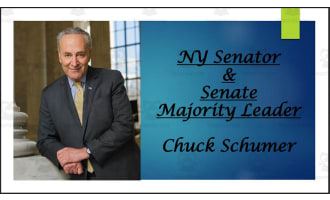 Current U.S. Senators from New York (BIO PPT Bundle)