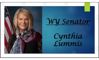Current U.S. Senators from Wyoming (BIO PPT Bundle)