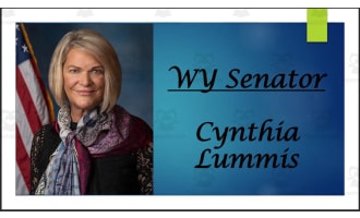 Current Wyoming U.S. Senators & Representative (BIO PPT Bundle)
