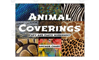 Cut and Paste: Animal Coverings -