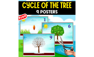 CYCLE OF THE TREE | 9 POSTERS | SCIENCE
