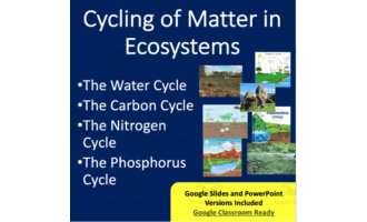 Cycling of Matter in Ecosystems Lesson - Google Slides and Distance Learning
