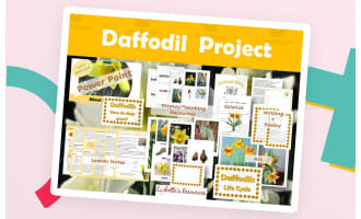 Daffodils Kindergarten Science Projects + Lesson Outline