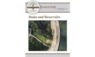 Dams and Reservoirs: Benefits and Impacts Lesson Plan BUNDLE (Digital & Print)