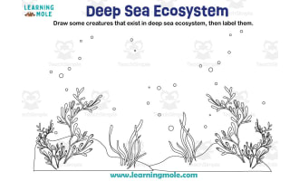 Deep Sea Ecosystem Activity
