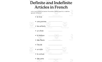 definite and indefinite articles in french worksheet