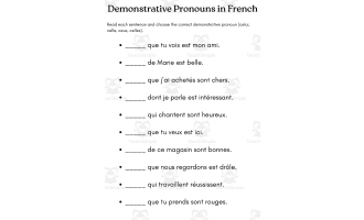 demonstrative pronouns in french exercises