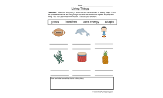Characteristics of Living and Non-Living Things Worksheet by ...