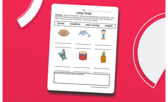 Describing Characteristics Living Things Worksheet