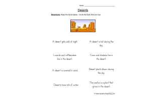 Desert True or False Worksheet