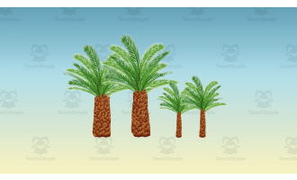 Different Types of Plants | Animated Plants Video Lesson