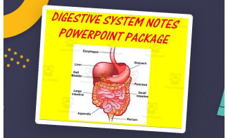 Digestive System | PowerPoint Presentations